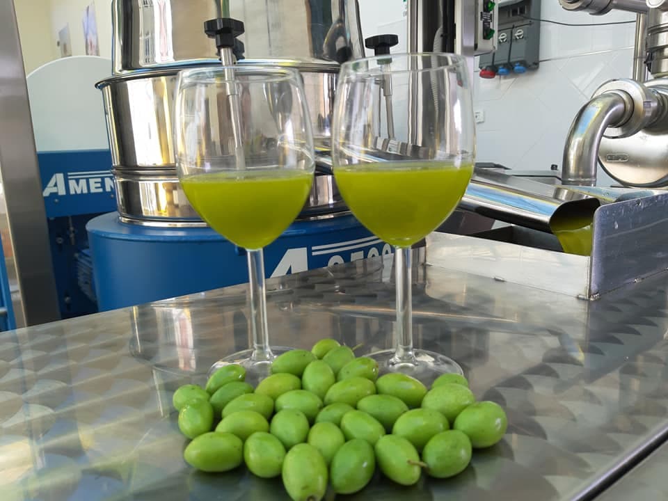 Organic EVOO
