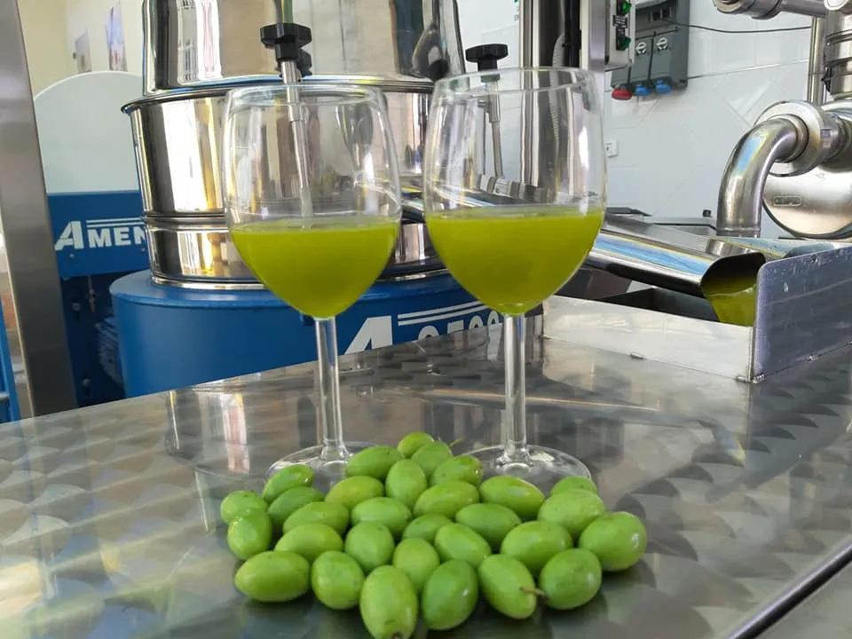 Organic EVOO